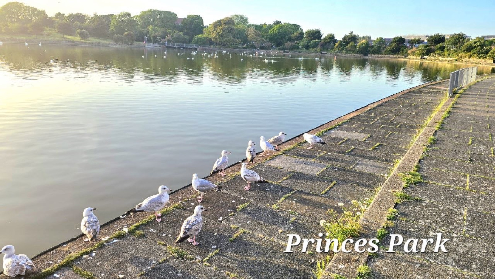 Princes Park boating lake at the quiet end of the Eastbourne seafront